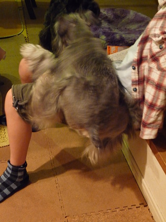 お分かりになりますでしょうか？