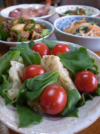 アイスプラント７