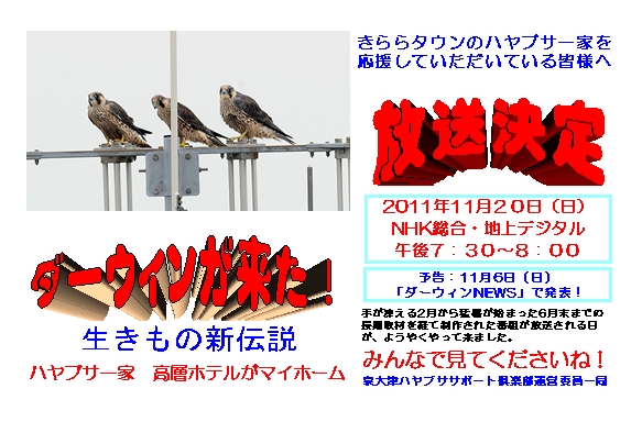 ＮＨＫ放送決定お知らせ