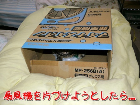 扇風機の箱に入る猫１