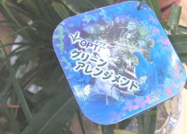 オプテ・グリーンアレンジメント・花名札