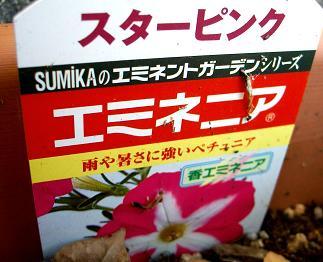 エミネニア・花名札