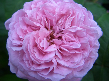 6.9コンテ・ドゥ・シャンポール2