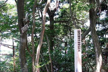 槇尾山頂上IMG_1177