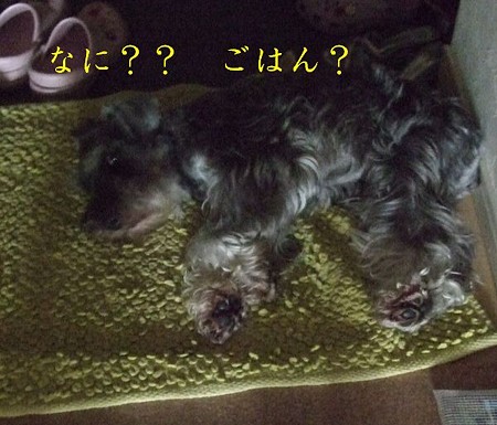 だらっとしすぎだよね、毎日。