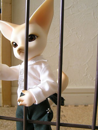 黄色い箱から出てきた王子