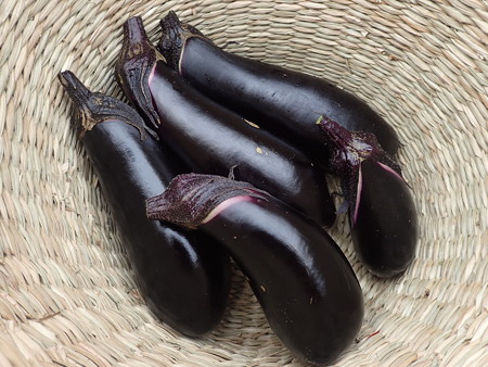 写真: 収穫野菜１