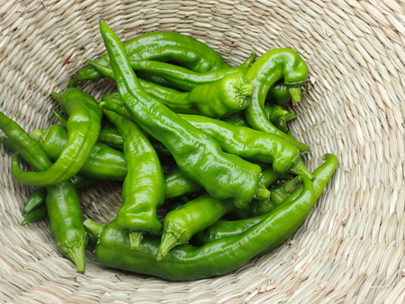 写真: 収穫野菜３