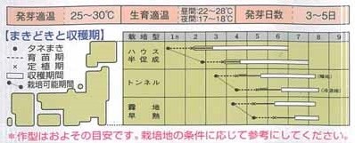 写真: 半白節成