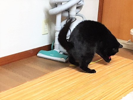 161118３ルーチェ２