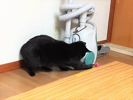 161118３ルーチェ３