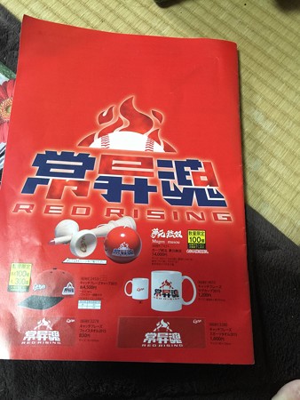 カープパンフレット