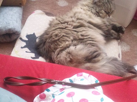 熟睡できてないかも?