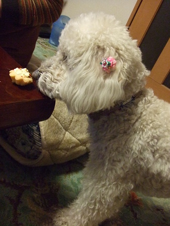 クンクン、美味しそう♪