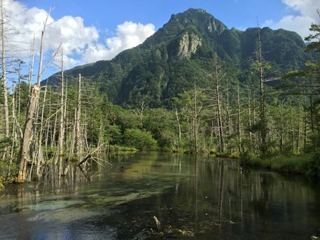 fe5957550c26c887bfe63828334c87d20eaf2287.86.2.9.2[1]