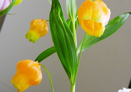 サンダーソニア・11.10.10