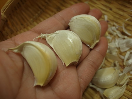 写真: ニンニク７