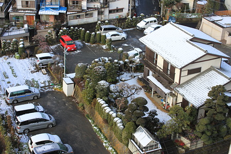 雪が積もったね