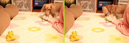 やっと出てきたの