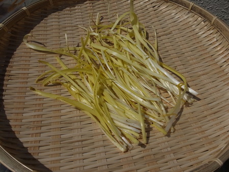 写真: 収穫野菜１