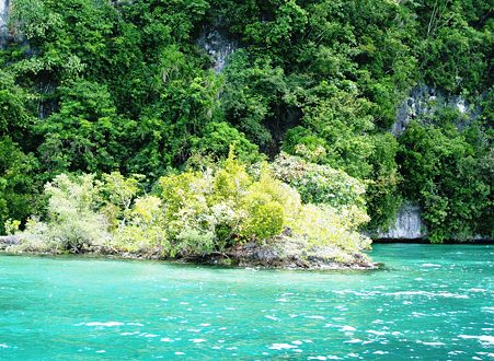 パラオ・ロックアイランド