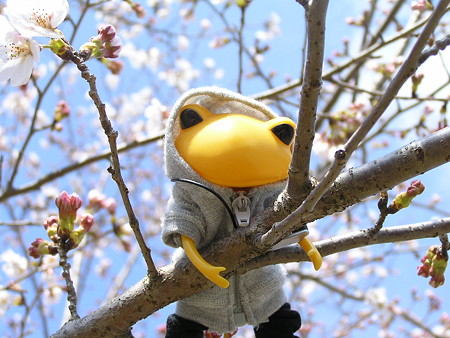 僕もいい写真撮りたいな。