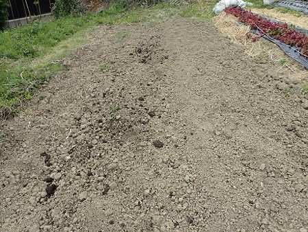 写真: のほほん農園７（縮小）