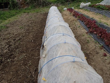 写真: 作業10（縮小）