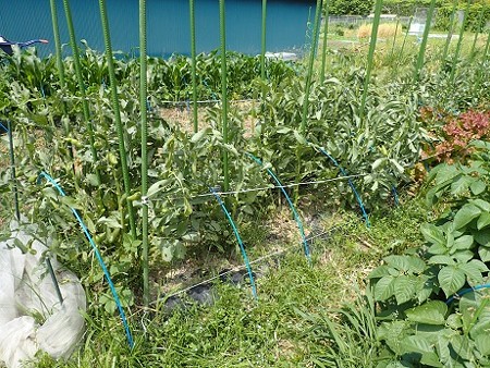 写真: 作業１（縮小）