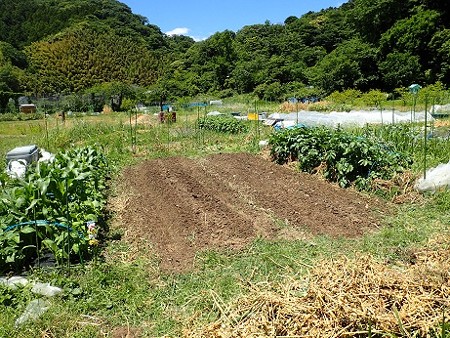 写真: 作業４（縮小）