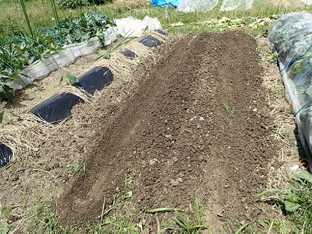 写真: 作業５（縮小）