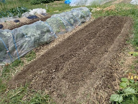 写真: 作業６（縮小）