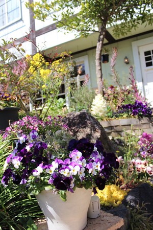 ハレルゥガーデン