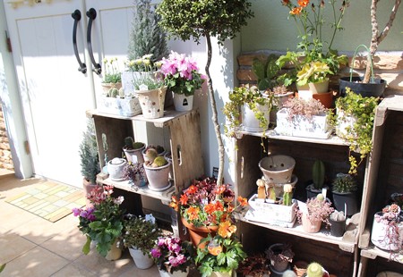 ハレルゥガーデン