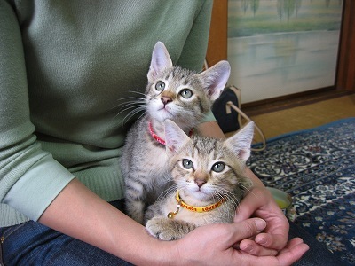 ishimatsu&mie-chibi2