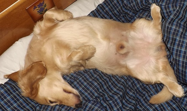 2018/10/14（日）・コロン