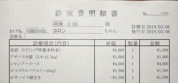 2019/03/06（水）・診療費明細書