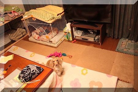 コルクマットは敷いたよ