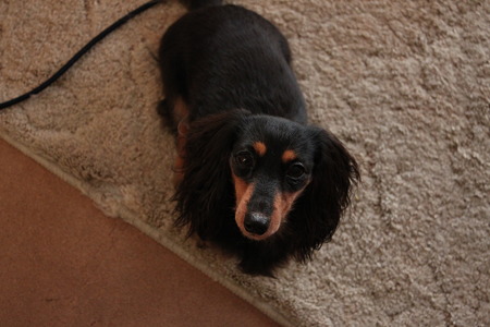 あたし何もしてないよ