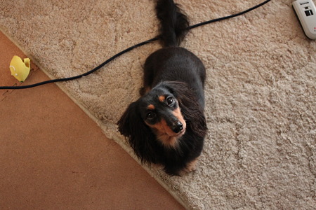 だってそこにあったんだもん