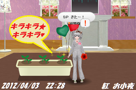 ０４０３パンジーＳＰ１