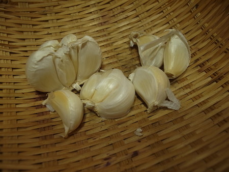 写真: ニンニク５