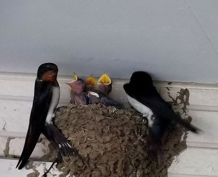 74　両親に見守られ