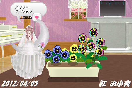 ０４０５パンジーＳＰ２