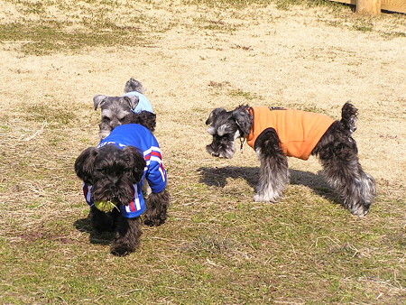 じっくんらーちゃんじゅにあくん。