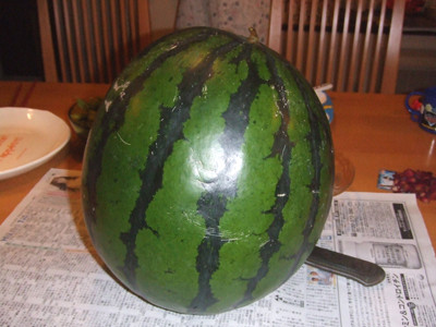 0823スイカ２番果