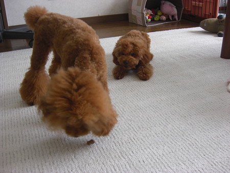 9/25　おかわり～コロン