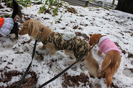 大地はボーっっとｗ