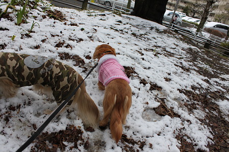 メレテンション低い