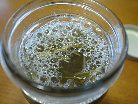 写真: ローズマリー酵母4日目